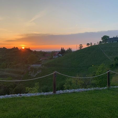 Hill Cottage Haloze Gruskovec Zewnętrze zdjęcie