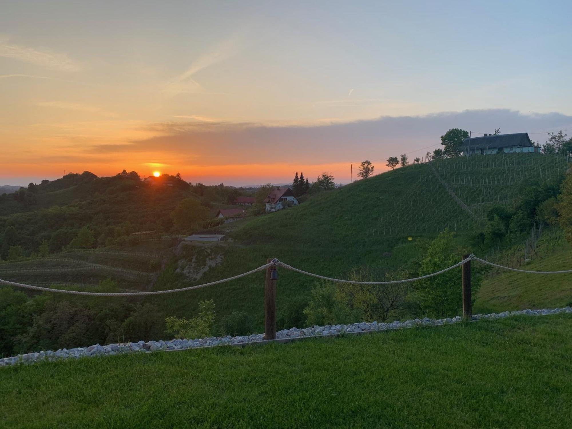 Hill Cottage Haloze Gruskovec Zewnętrze zdjęcie