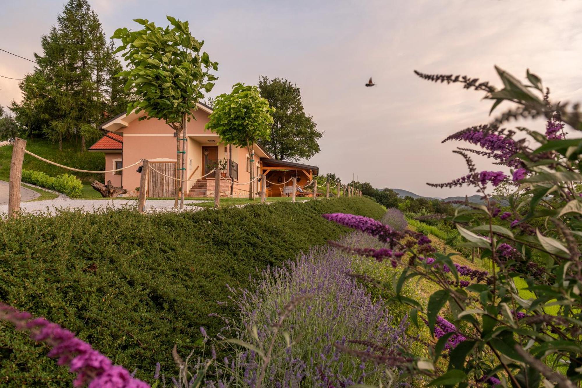 Hill Cottage Haloze Gruskovec Zewnętrze zdjęcie